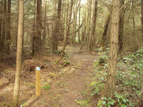 Dungeness Recreation Area Biker / Hiker Site C