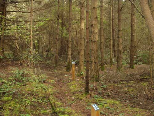 Dungeness Recreation Area Biker / Hiker Site D