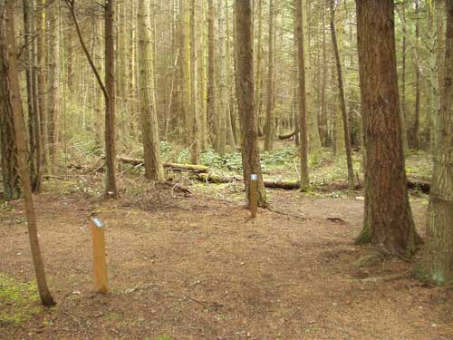 Dungeness Recreation Area Biker / Hiker Site F