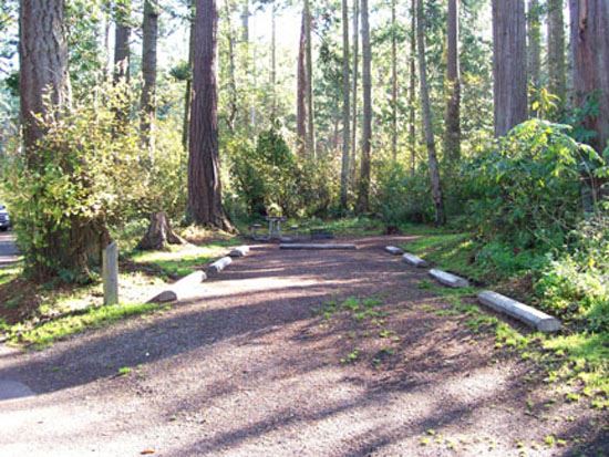 Salt Creek Campsite Area 57