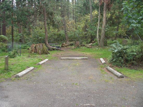 Salt Creek Campsite Area 59