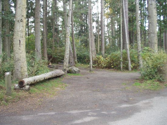 Salt Creek Campsite Area 62