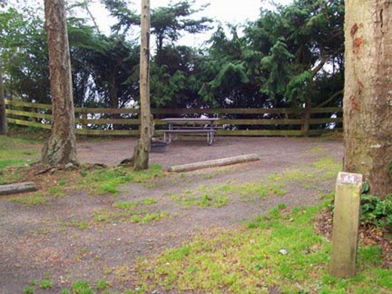Salt Creek Campsite Area 64