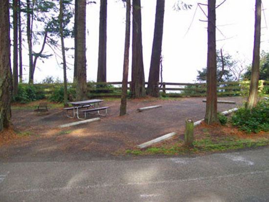 Salt Creek Campsite Area 66