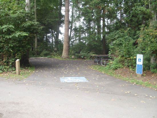 Salt Creek Campsite Area 71