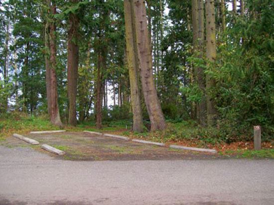 Salt Creek Campsite Area 72