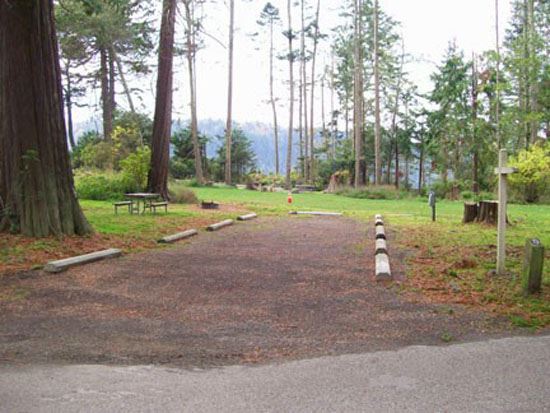 Salt Creek Campsite Area 73