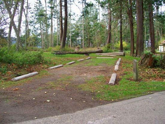 Salt Creek Campsite Area 75