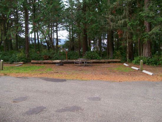 Salt Creek Campsite Area 76