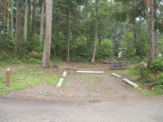 Salt Creek Campsite Area 79