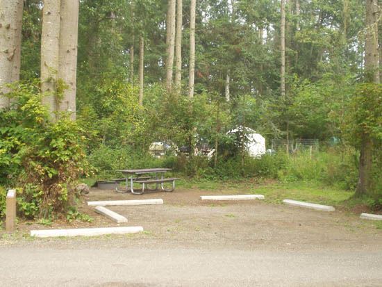 Salt Creek Campsite Area 80