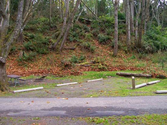 Salt Creek Campsite Area 90