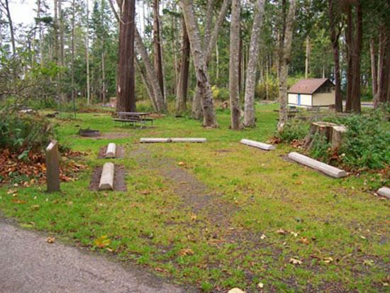 Salt Creek Campsite Area 91