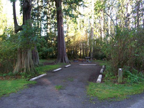 Salt Creek Campsite Area 52