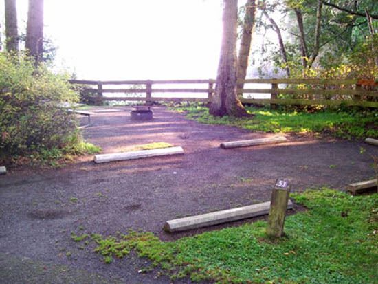 Salt Creek Campsite Area 53