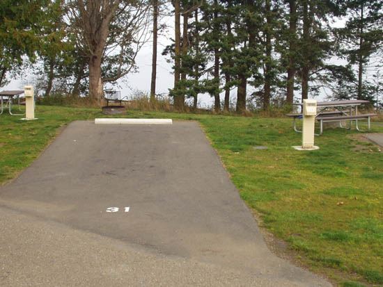 Salt Creek Campsite Area 31