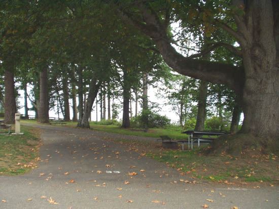 Salt Creek Campsite Area 33