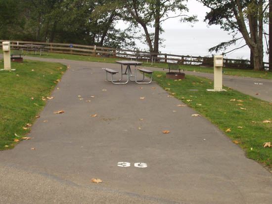 Salt Creek Campsite Area 36