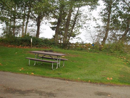 Salt Creek Campsite Area 40