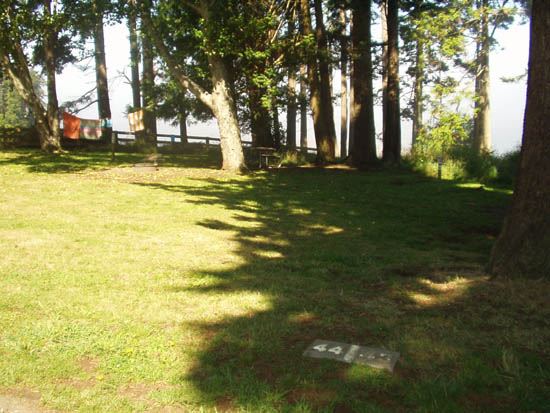 Salt Creek Campsite Area 44