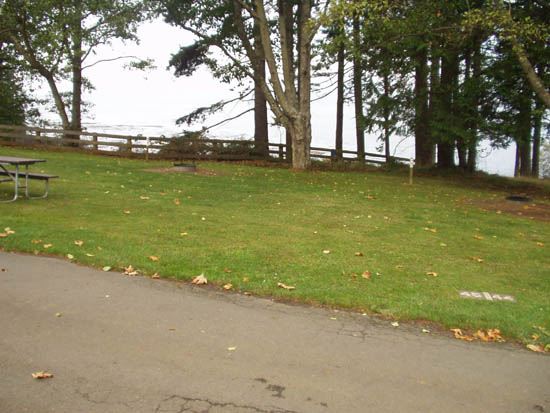 Salt Creek Campsite Area 45