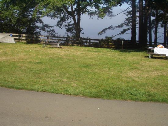 Salt Creek Campsite Area 46