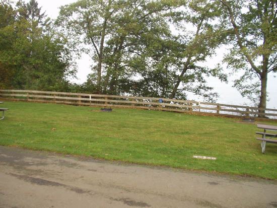 Salt Creek Campsite Area 47