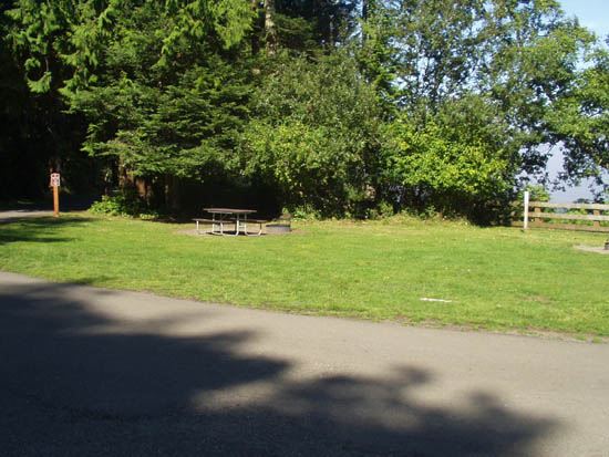 Salt Creek Campsite Area 49