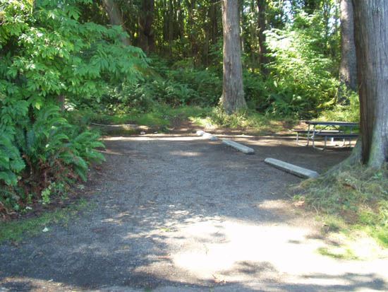 Salt Creek Campsite Area 51