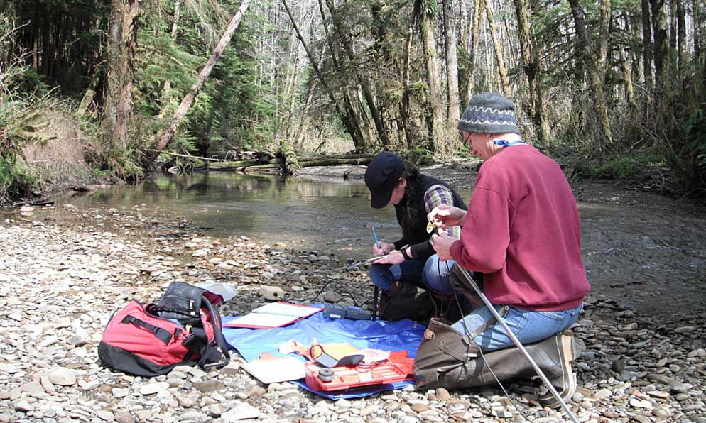 Volunteers on the Shore