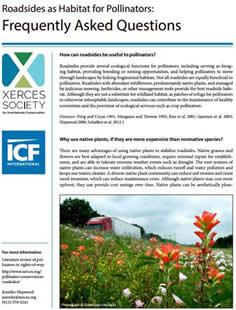 Roadsides as Habitats for Pollinators: Frequently Asked Questions