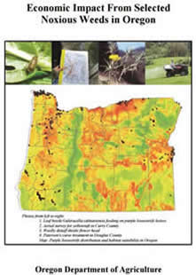 Oregon Study of Economic Affects of Noxious Weeds (PDF)