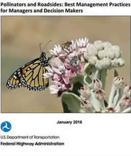 Pollinators and Roadsides: Best Management Practices for Managers and Decision Makers