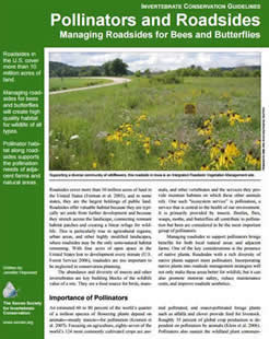 Pollinators and Roadsides: Managing Roadsides for Bees and Butterflies