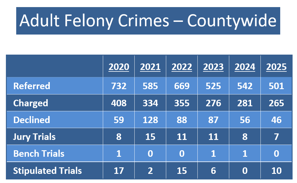 Image link to Adult Felony Crime Data