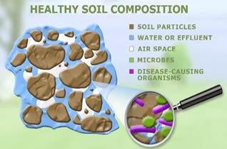 Healthy Soil Composition