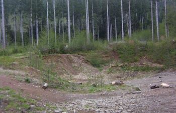 Gravel Pit and Pistol Range