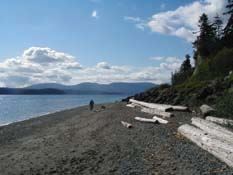 Clallam County Beach