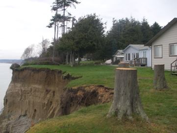 Shoreline Near Residences