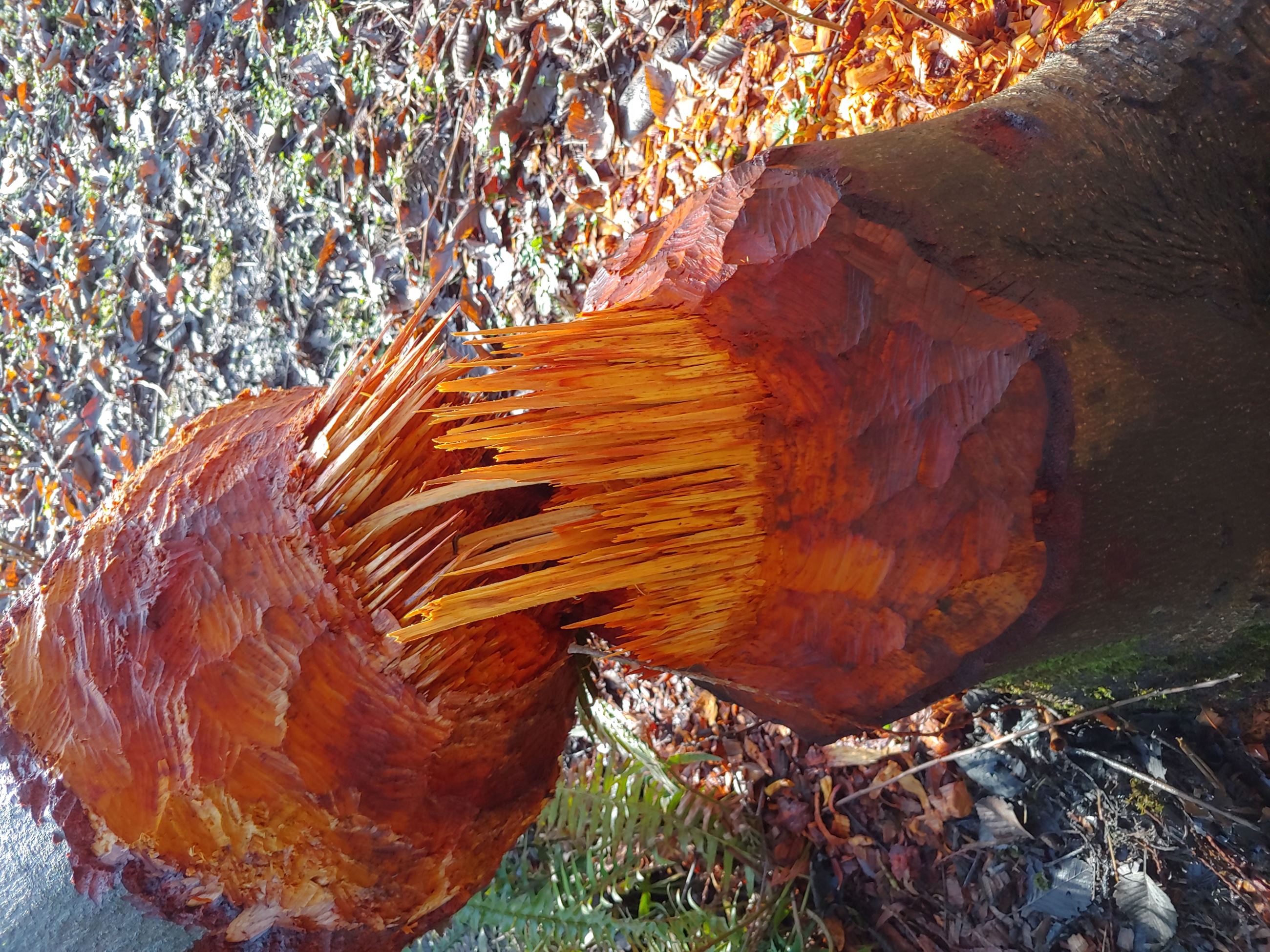 20200103_104459_HDR 20200103_104459_HDR